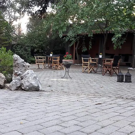 Zorbas *