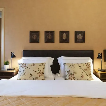 Hotel Zorbas Metamorfosi (Sithonia)